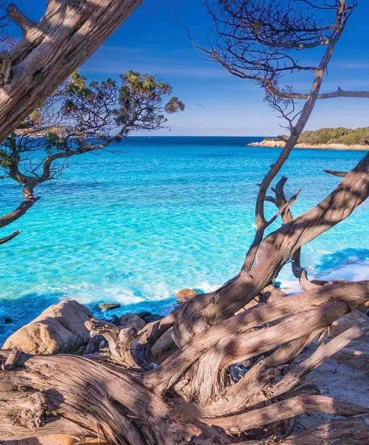 Suite Les Couchants Портіччо Екстер'єр фото